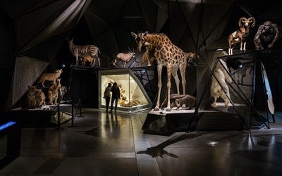 Exposition Espèces, la maille du vivant