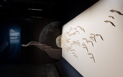 Exposition La Terre en héritage, du Néolithique à nous