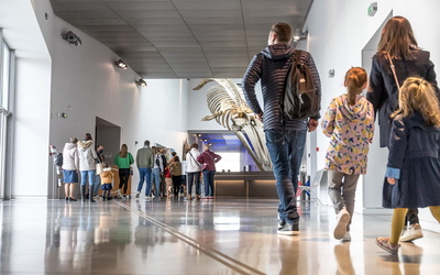 Visite en famille musée des Confluences