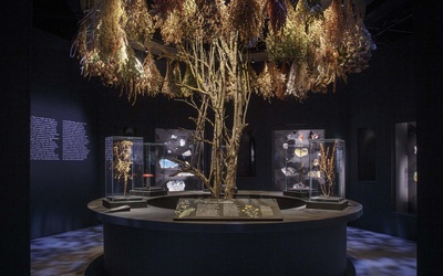 Exposition Magique