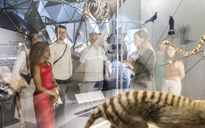 Exposition Espèces, la maille du vivant