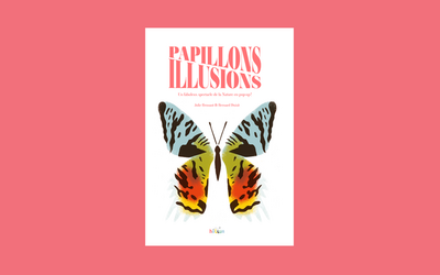 Papillons illusions