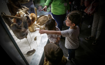 Les contes à gigoter