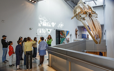 Visite du parcours permanent
