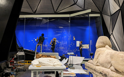 Exposition Espèces, la maille du vivant