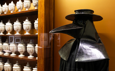 Exposition Épidémies, prendre soin du vivant