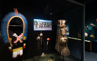 Exposition Amazonies