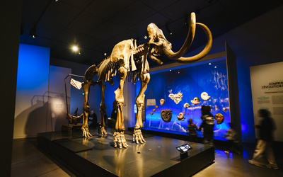 Origines, les récits du monde