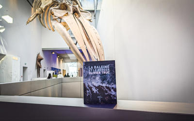 couverture du livre La baleine et le berger d'Olivier Truc dans le collection Récit d'objet