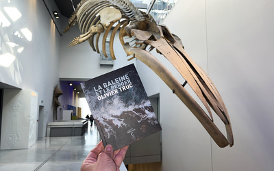 Couverture du livre La baleine et le berger d'Olivier Truc
