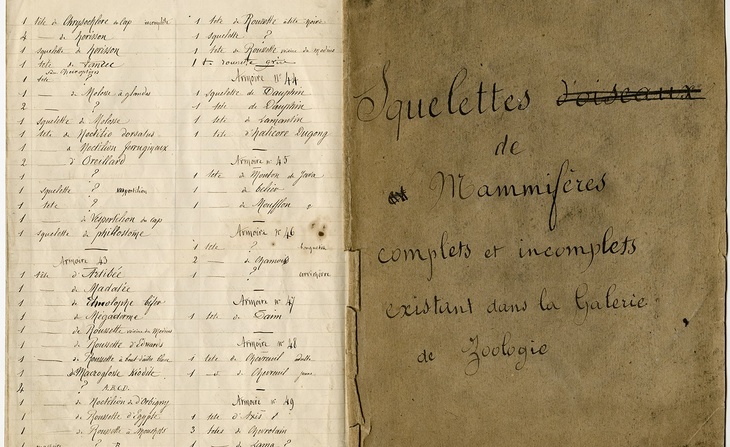 Liste des squelettes complets et incomplets existant dans la galerie de zoologie : inventaire manuscrit. 