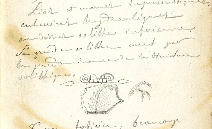 Travaux géologiques de Pierre Lortet. Notes sur la géologie avec des tableaux synoptiques : carnet (volume 6) [18**].