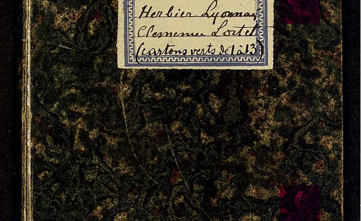 Herbier de Clémence Lortet. « Herbier lyonnais de Clémence Lortet (cartons verts de 1 à 13). Herbier typique de la flore de [Giovanni Baptista] Balbis » : cahier manuscrit.