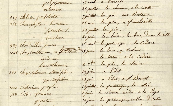 Herbier de Clémence Lortet. « Catalogue de mon herbier de plantes du lyonnais, non compris la Cryptogamie » avec la liste des genres et espèces par ordre alphabétique et un index du contenu des cartons de l’herbier : cahier manuscrit (1820).