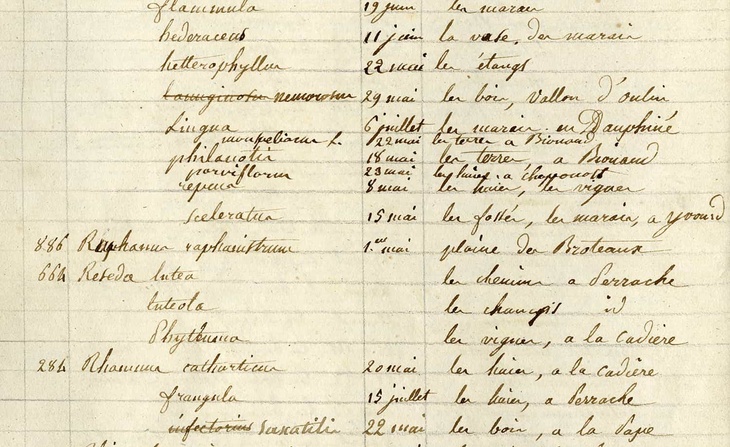 Herbier de Clémence Lortet. « Catalogue de mon herbier de plantes du lyonnais, non compris la Cryptogamie » avec la liste des genres et espèces par ordre alphabétique et un index du contenu des cartons de l’herbier : cahier manuscrit (1820).