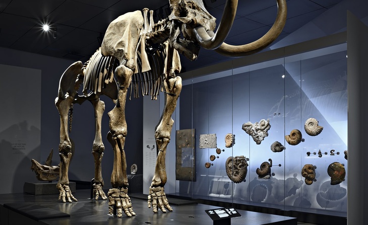 Exposition Origines, les récits du monde