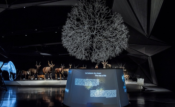 Exposition Espèces, la maille du vivant