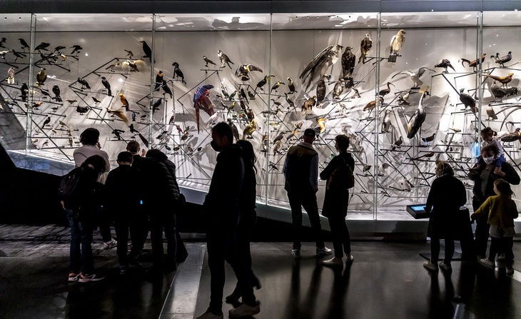 Exposition Espèces, la maille du vivant