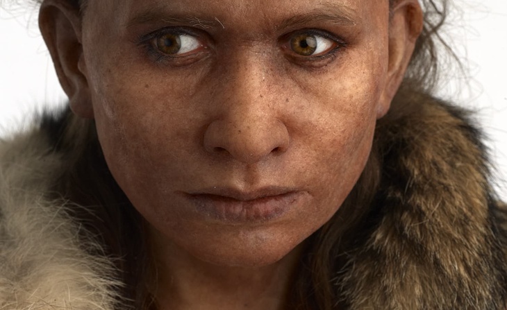 Reconstitution de femme Sapiens