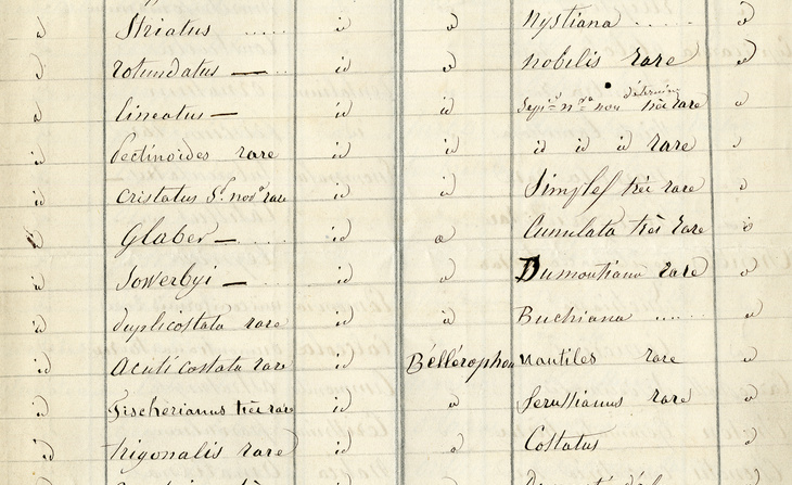 Catalogue des carbonifères de Visé (1854).