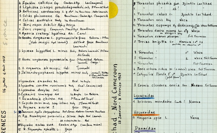 Fiches manuscrites de collecte d'insectes en France, au Cameroun et au Tchad (1967).