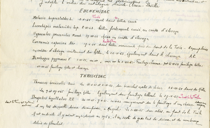 Notes manuscrites préparatoires à la rédaction du « Catalogue des coléoptères de la forêt de la Grésigne » de Jean Rabil (1965).