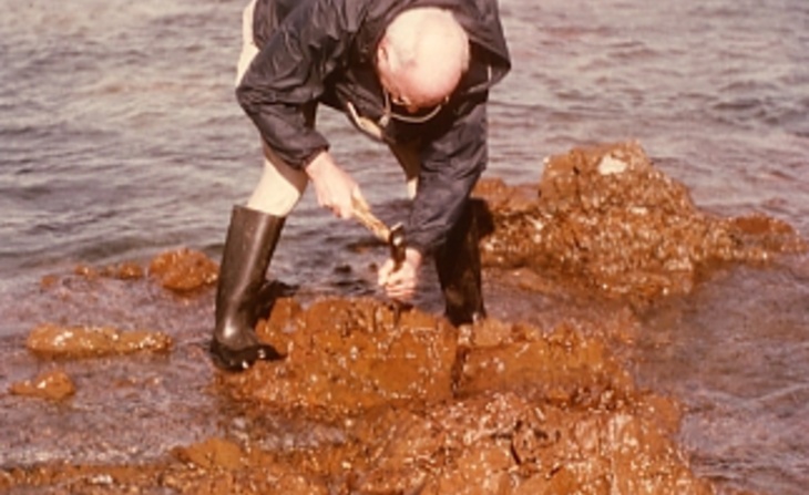 Vue de Jean Balazuc en pleine collecte à Omonville, la Rogue dans la manche (1979).