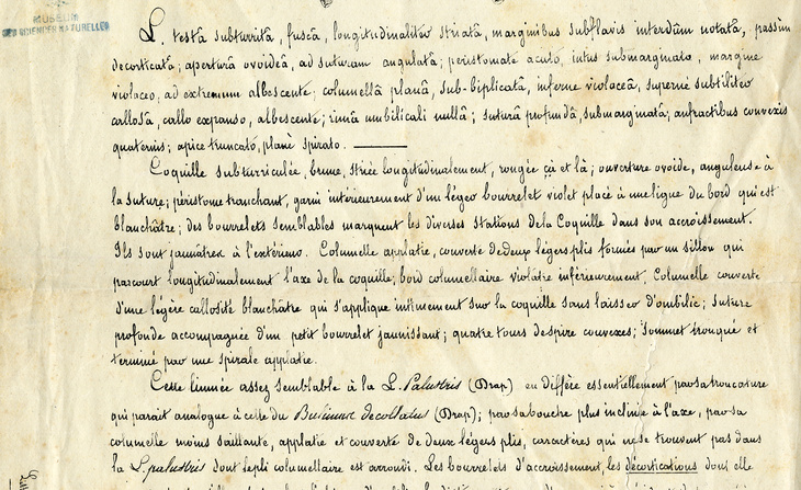Un extrait de l’article  «Description d'une nouvelle espèce de limnée » par A. Buvignier recopié par Ange-Paulin Terver (1833).
