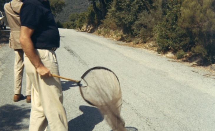 Portrait de Claude Lemaire tenant son filet à papillons (1968).