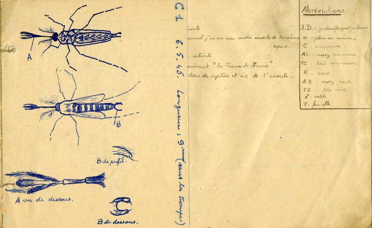Carnet illustré.