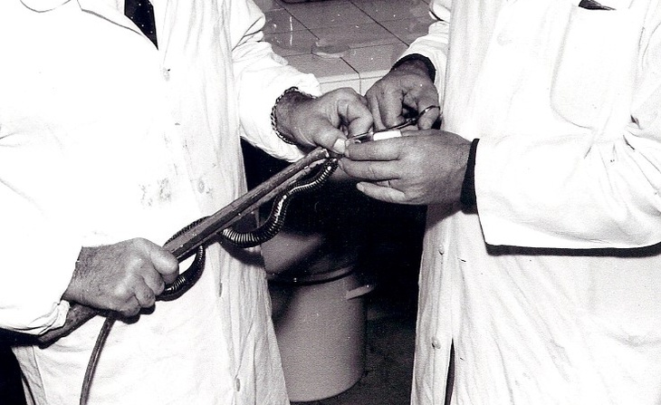 André Lacour (à gauche) avec un de ses collègues à la serpenterie de l'Institut Pasteur (sans date).