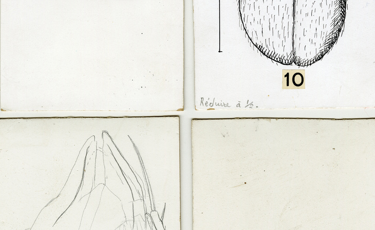 Extrait d'un carnet de notes avec dessins originaux (sans date).