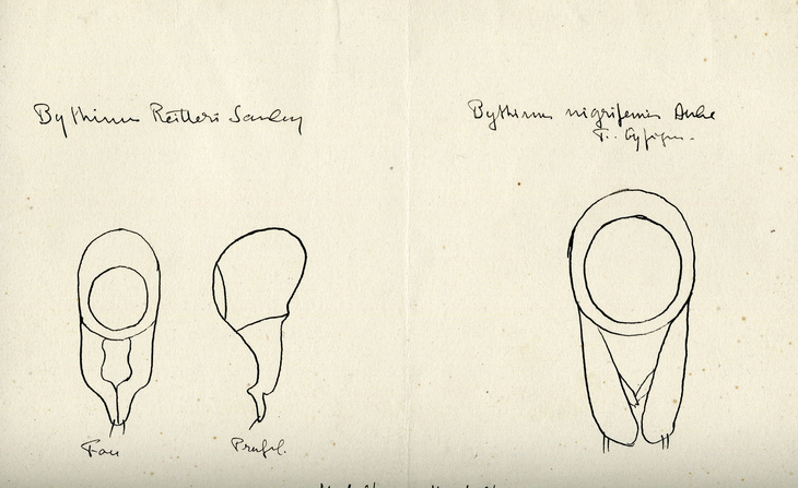 Extrait d'un carnet de notes avec dessins originaux (sans date).