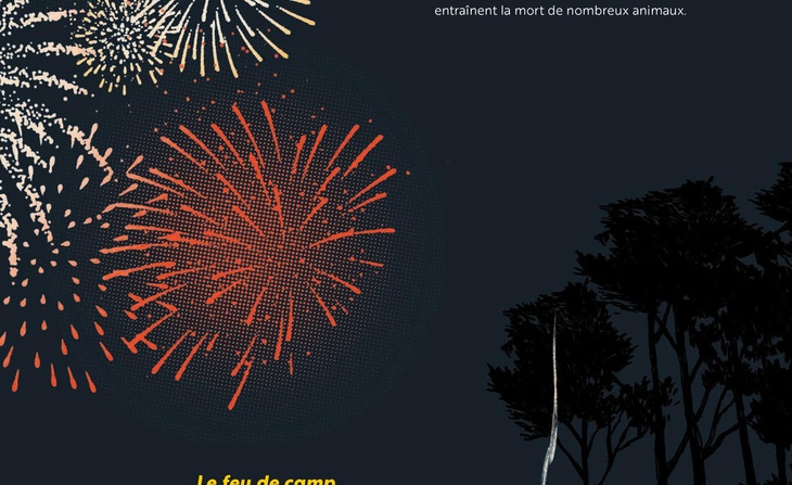 Le livre du feu