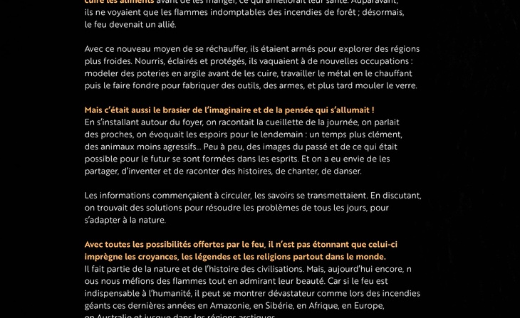 Le livre du feu