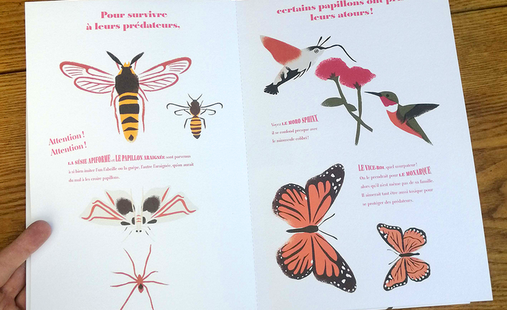 Papillons illusions