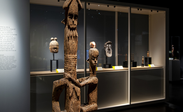  Désir d’art la collection africaine Ewa et Yves Develon
