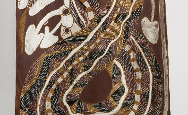 Serpent arc-en-ciel