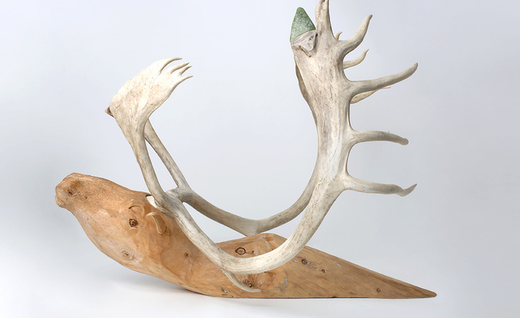 Swimming Renovated Caribou