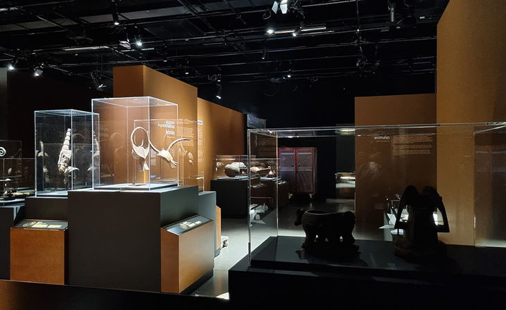 Exposition Afrique, mille vies d'objets