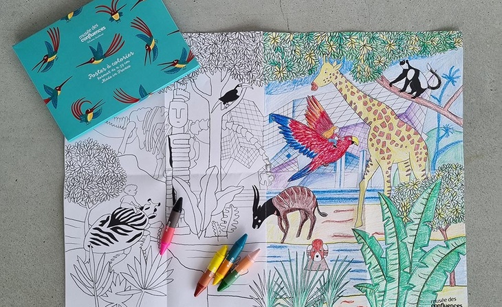coloriage Colibri