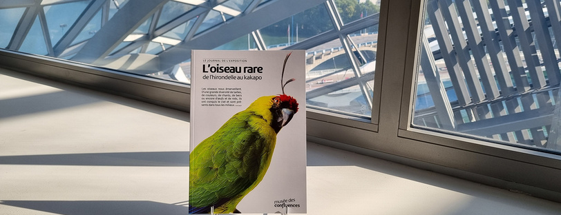 Journal de l’exposition – L’oiseau rare, de l’hirondelle au kakapo