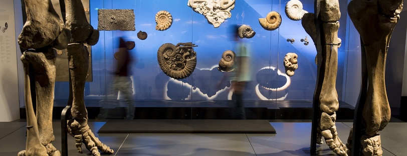 Exposition Origines, les récits du monde