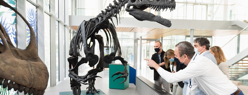 Installation d'un allosaure dans les locaux de bioMérieux