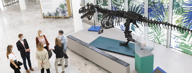 Installation d'un allosaure dans les locaux de bioMérieux