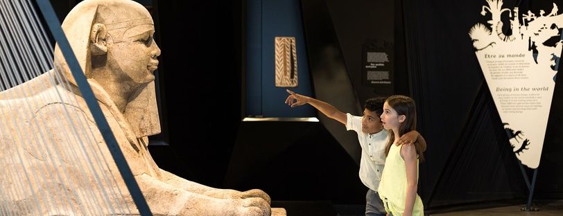 Exposition Espèces, la maille du vivant