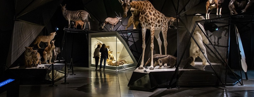 Exposition Espèces, la maille du vivant