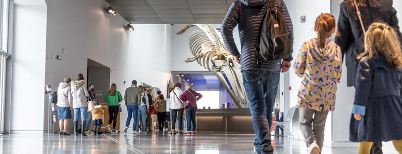 Visite en famille musée des Confluences