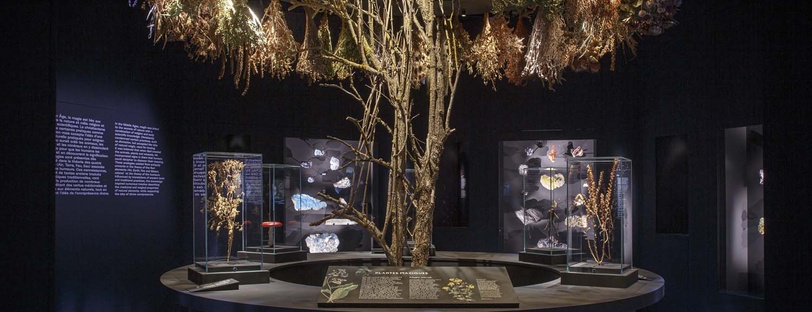 Exposition Magique