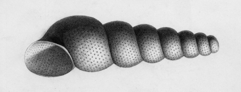 6J068.jpg